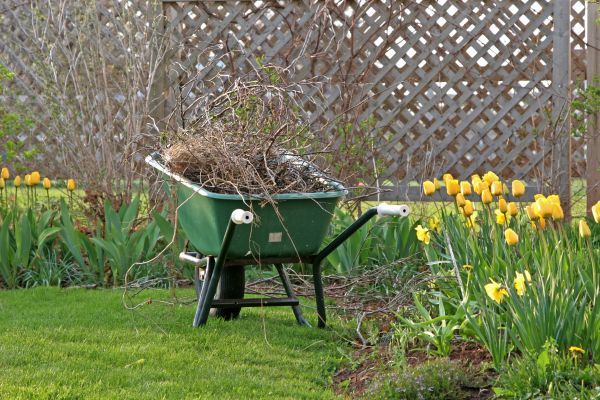 Flower Bed Cleanup Service in Surprise