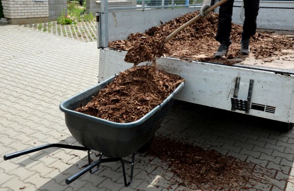 Bulk Mulch Delivery in Surprise