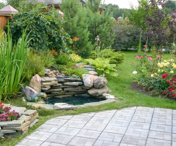 Landscaping Design Service in Surprise
