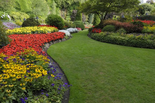 Landscaping Maintenance in Surprise