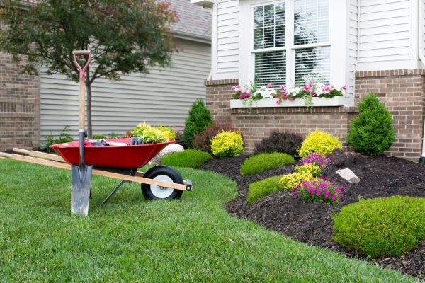 Landscape Maintenance Service in Surprise