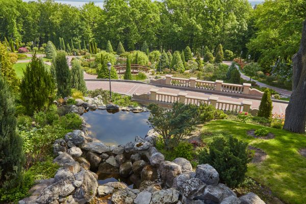 Landscape Architecture Service in Surprise