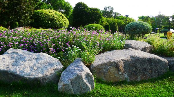 Boulder Landscaping in Surprise
