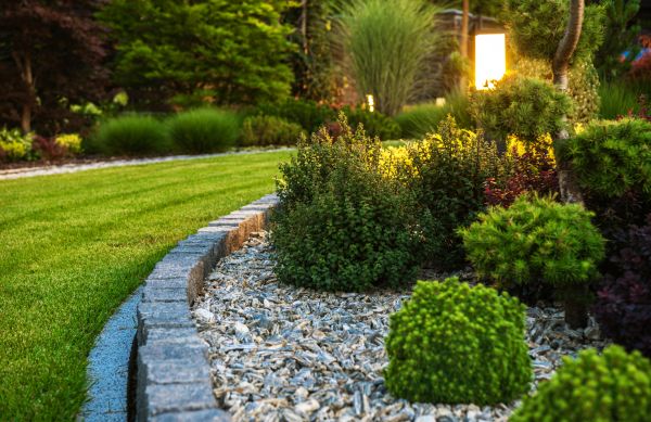Home Landscaping in Surprise