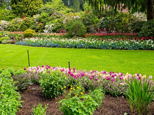 Residential Landscape Design in Surprise