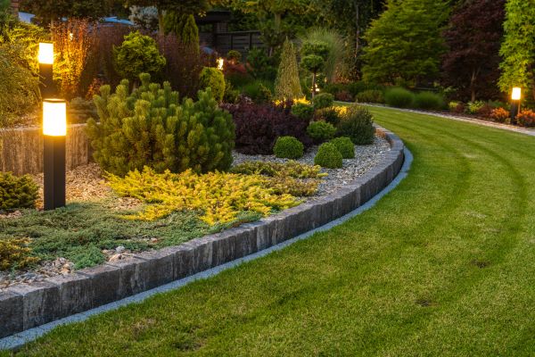 Garden Repair Service in Surprise