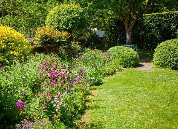 Yard Landscaping Service in Surprise