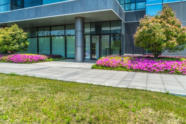Commercial Gardening in Surprise