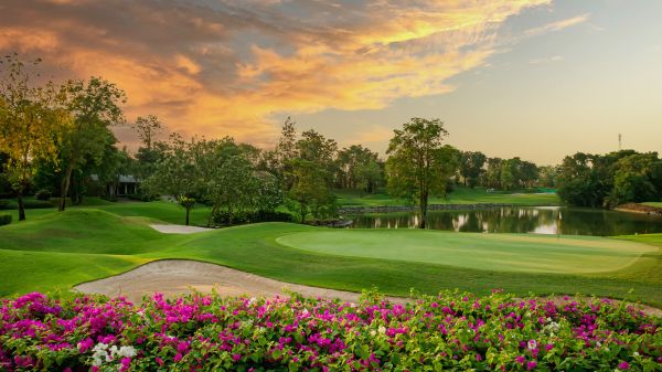 Golf Course Landscaping in Surprise