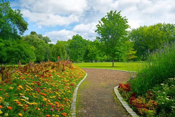Park Landscaping in Surprise