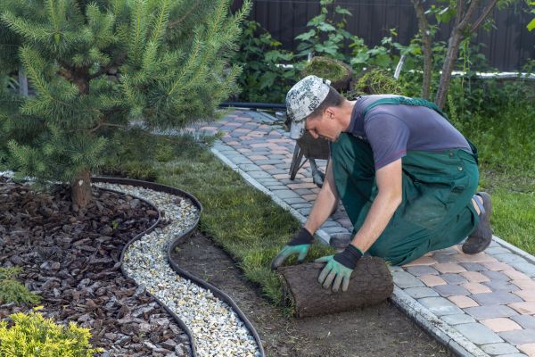 Landscaping Modification in Surprise