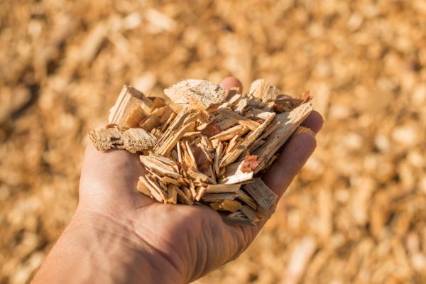 Wood Chips Spreading in Surprise