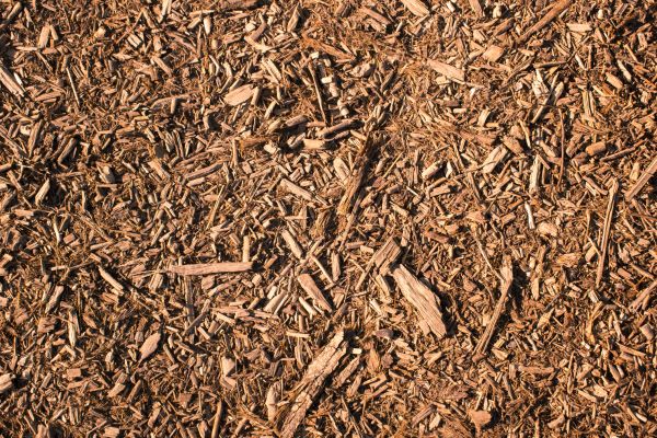 Wood Chips Removal in Surprise