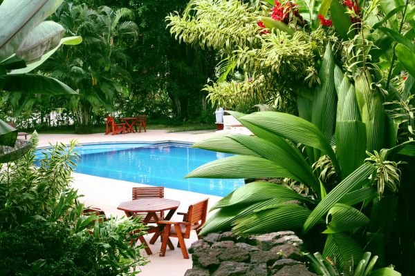 Pool Area Landscaping in Surprise