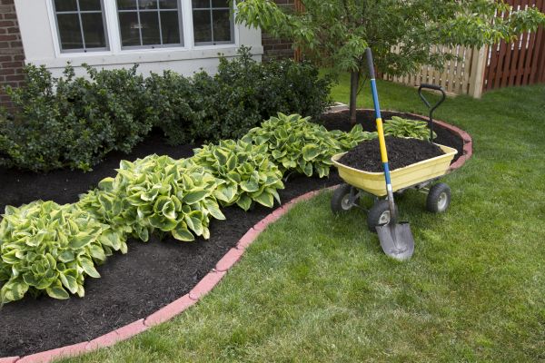 Landscape Mulching in Surprise
