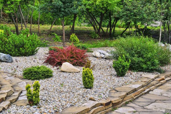 Hardscape Landscaping in Surprise
