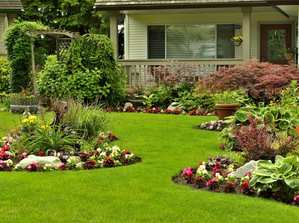Flower Garden Planting in Surprise