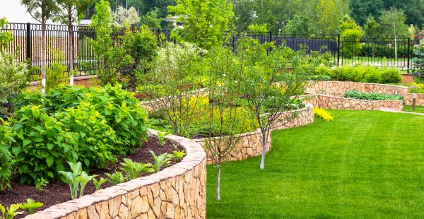 Yard Makeover Service in Surprise