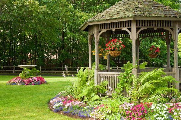 Backyard Landscaping Service in Surprise