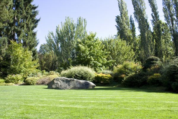 Yard Enlargement in Surprise