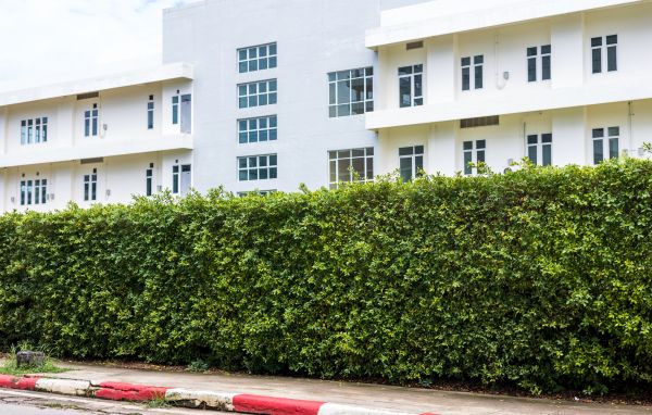 Privacy Landscaping in Surprise
