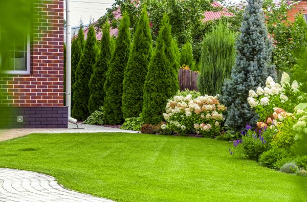 Spring Landscaping in Surprise