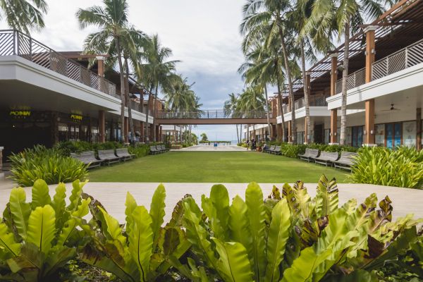 Commercial Lawn Renovation in Surprise