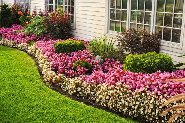 Garden Landscape Design in Surprise
