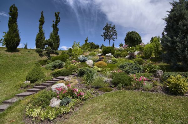 Steep Terrain Landscaping in Surprise