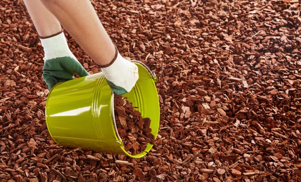Wood Chip Landscaping in Surprise