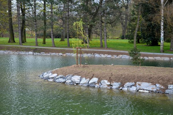 Pond Landscaping Service in Surprise
