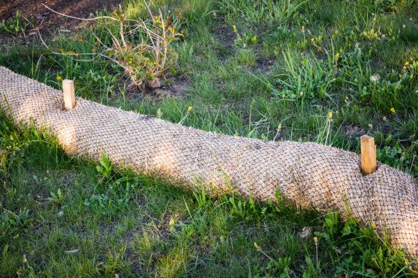 Wattle Installation in Surprise
