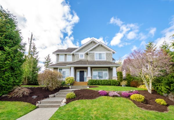 Landscaping Replacement in Surprise