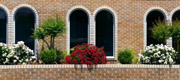Church Landscaping in Surprise