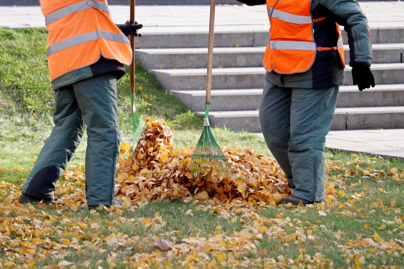 Leaf Raking
